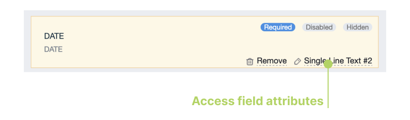 Access field attributes